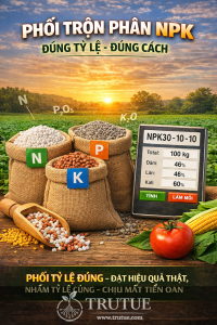 TẦM QUAN TRỌNG CỦA VIỆC PHỐI TRỘN PHÂN NPK